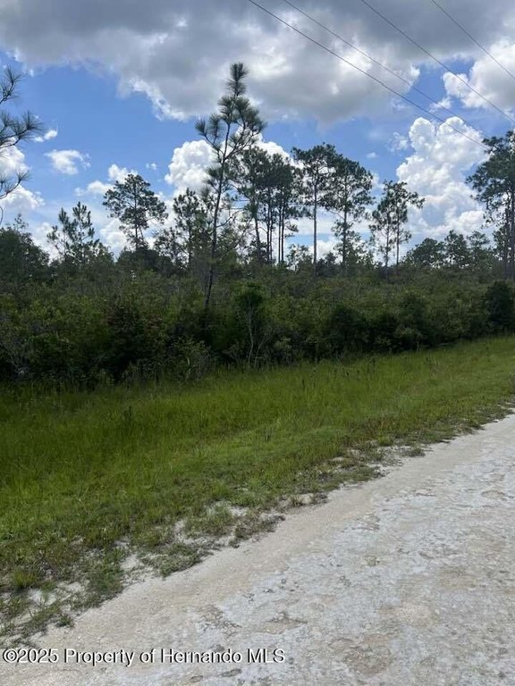 Picture 17