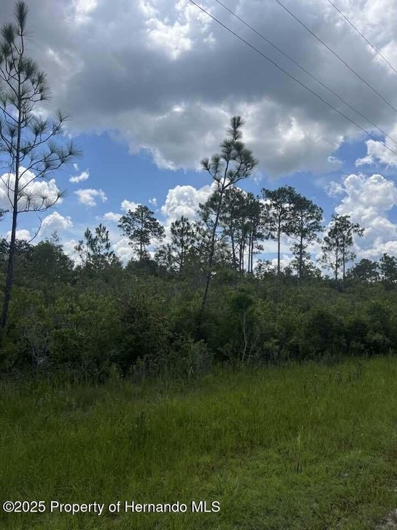 Picture 20