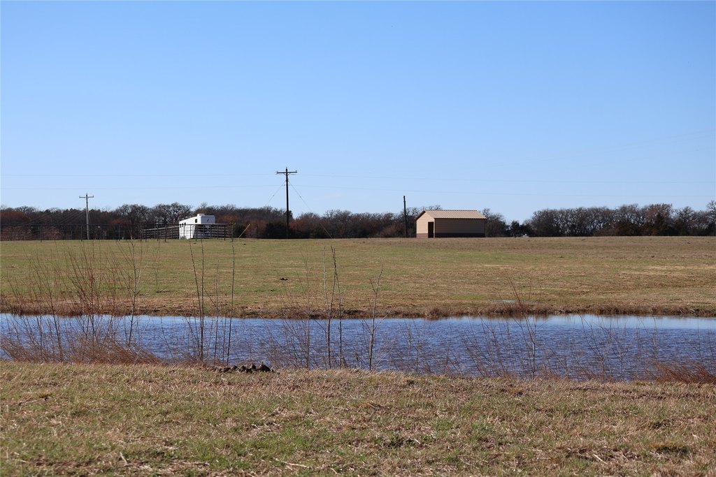 Picture 11
