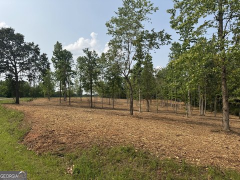 Roopville Land with Building Sites