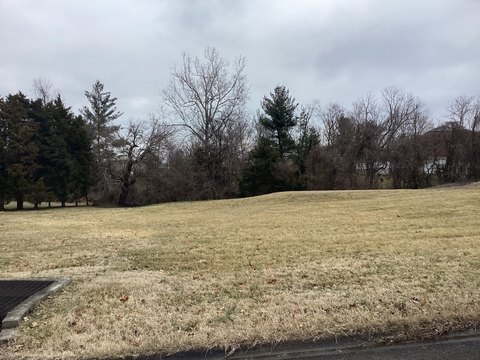 Residential Land in Greenville, KY