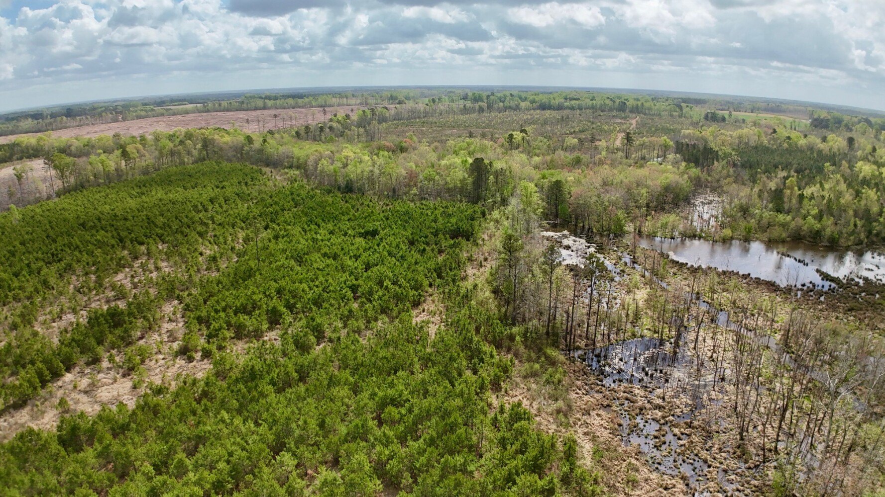 72 Acres Hunting and Recreation