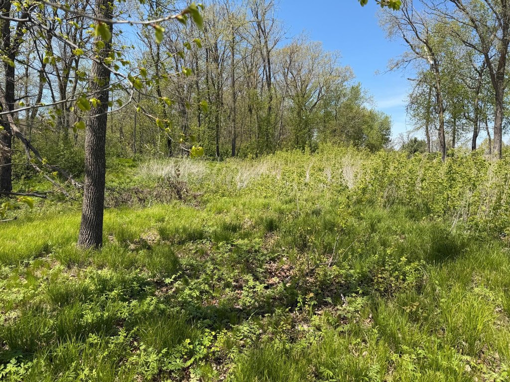 Picture 26
