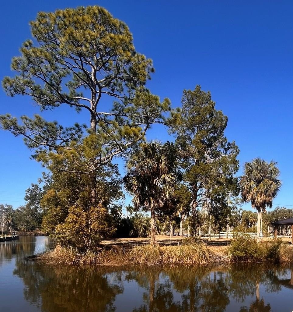 Waterfront RV-Ready Lot in Suwannee