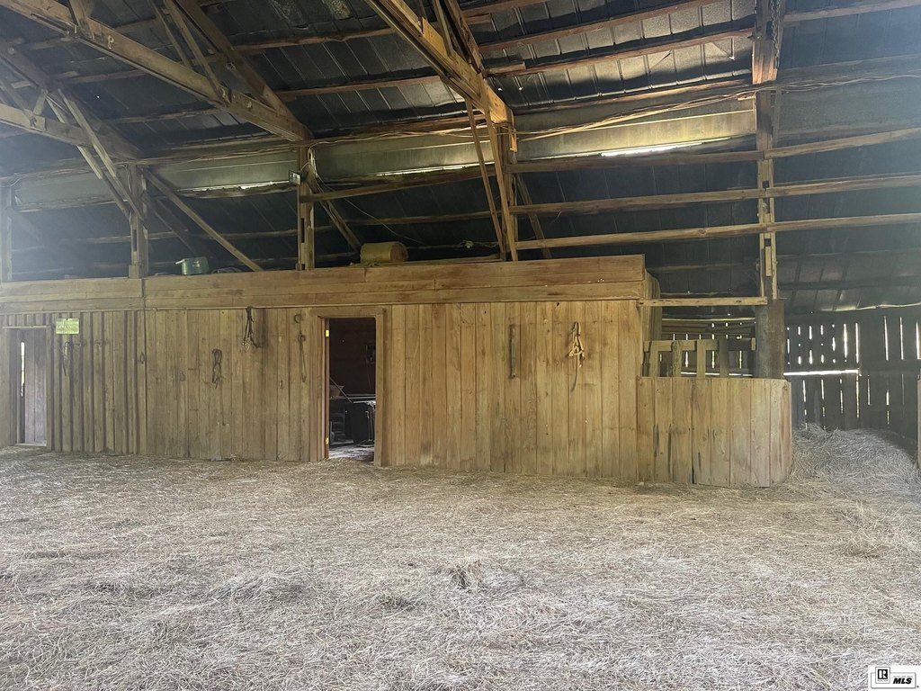 Picture 11