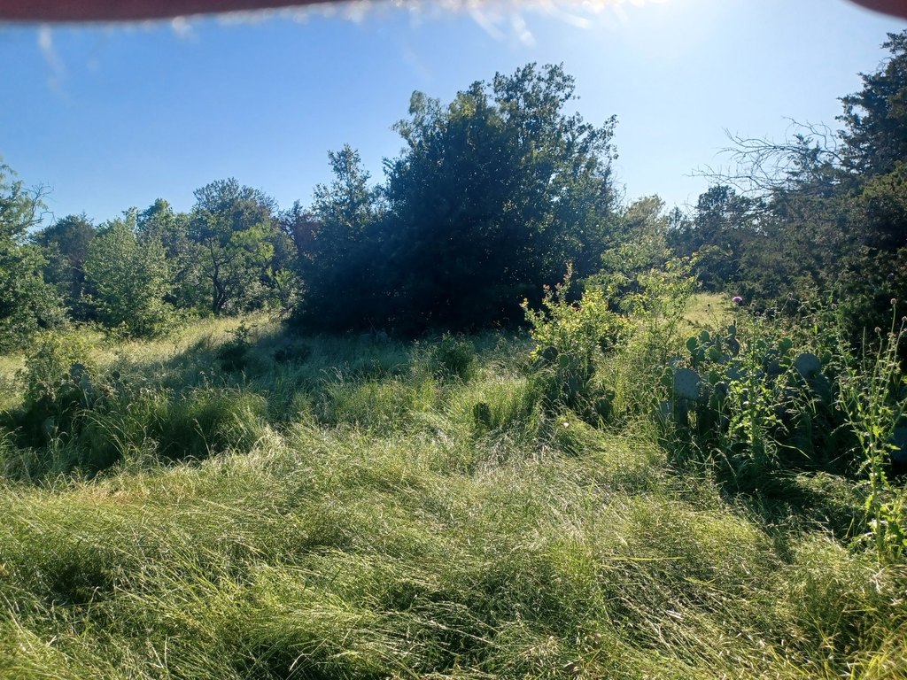 Picture 4
