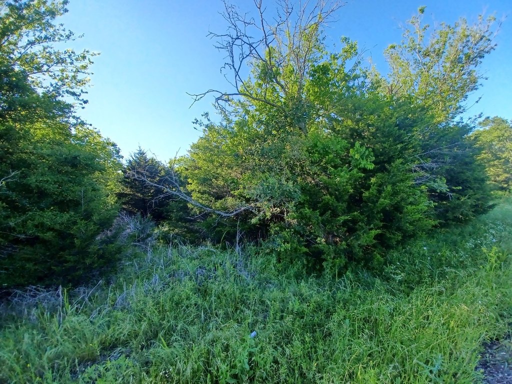 Picture 6