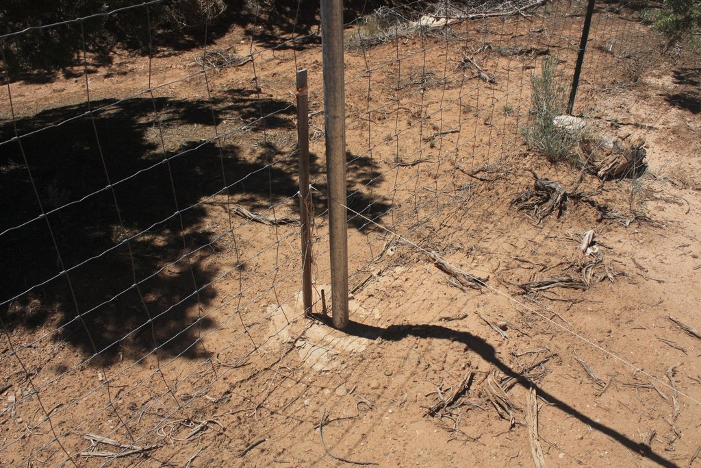 Picture 5