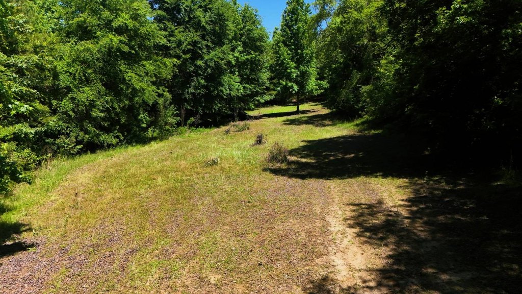 Picture 10