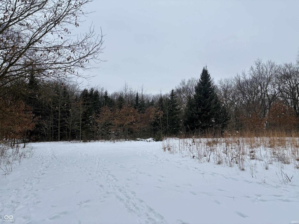Picture 8