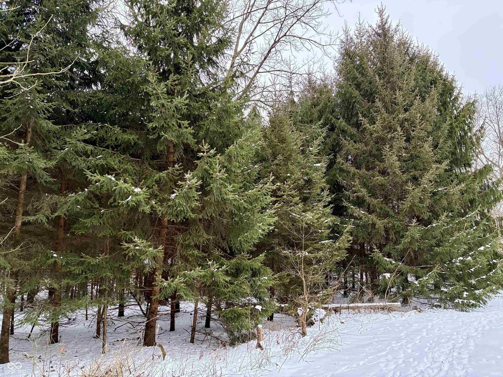 Picture 14