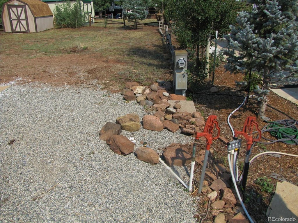Picture 8