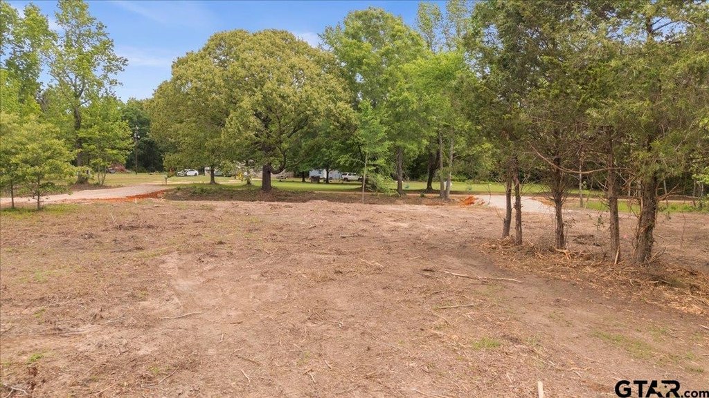 Picture 14