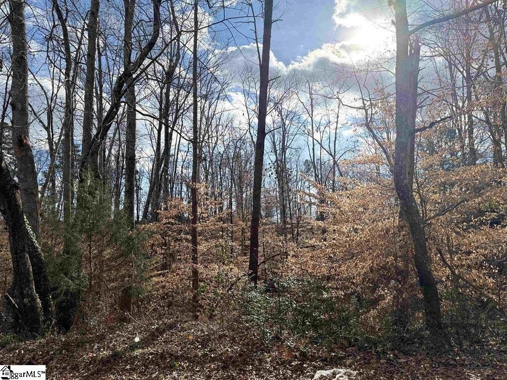 Piedmont SC 1-Acre Lot
