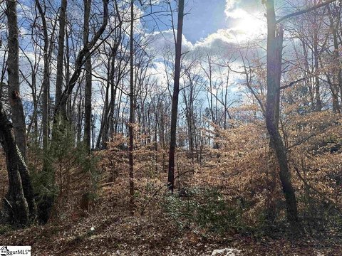 Piedmont SC 1-Acre Lot