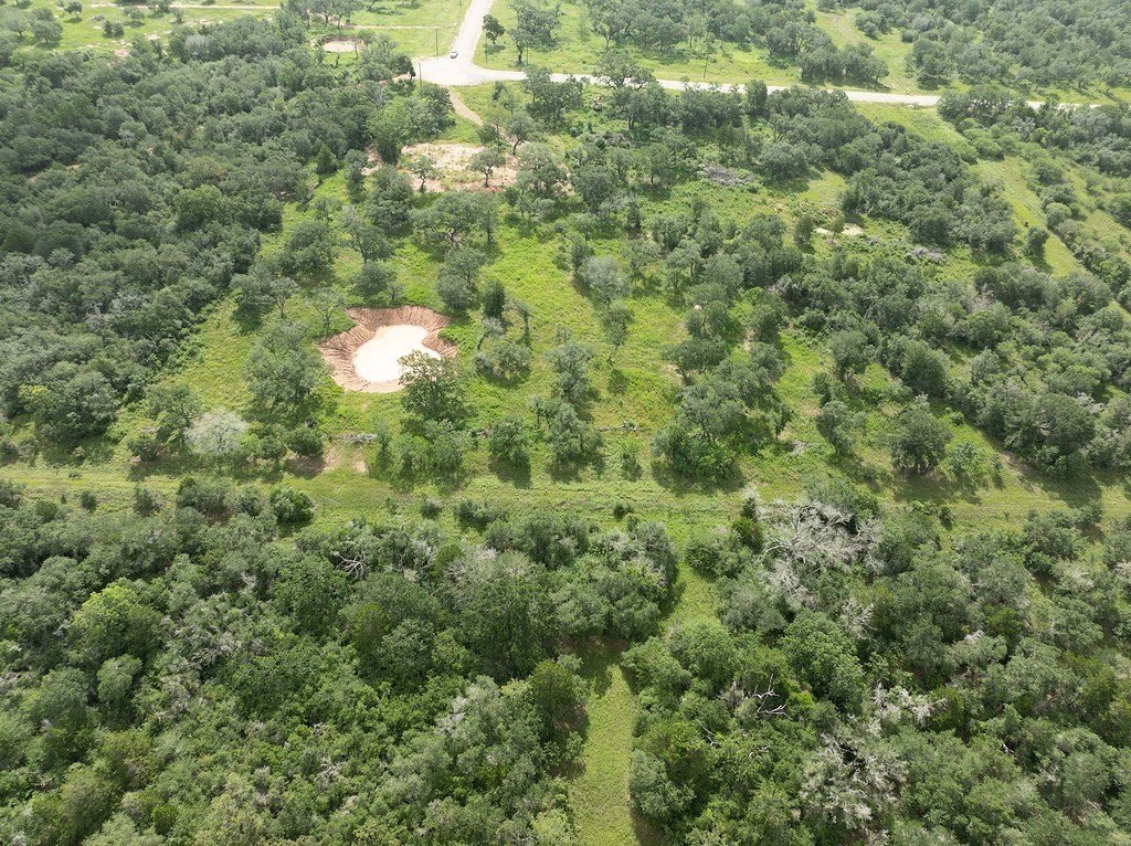 Picture 6