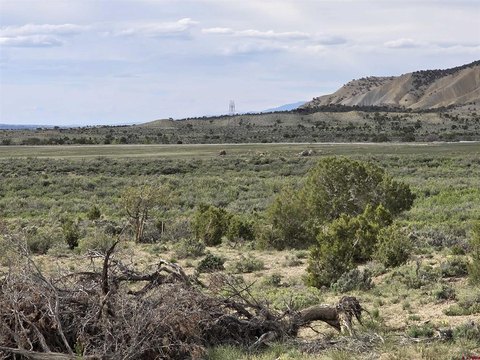 Montrose, CO Land For Sale