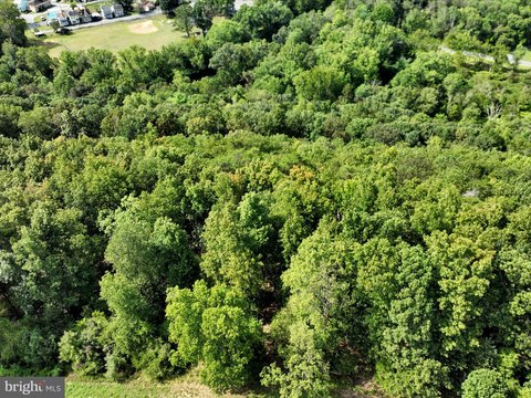 Wooded Land Near Schuylkill River