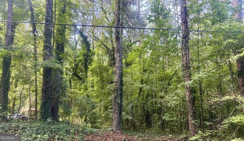 Land, South Fulton, GA