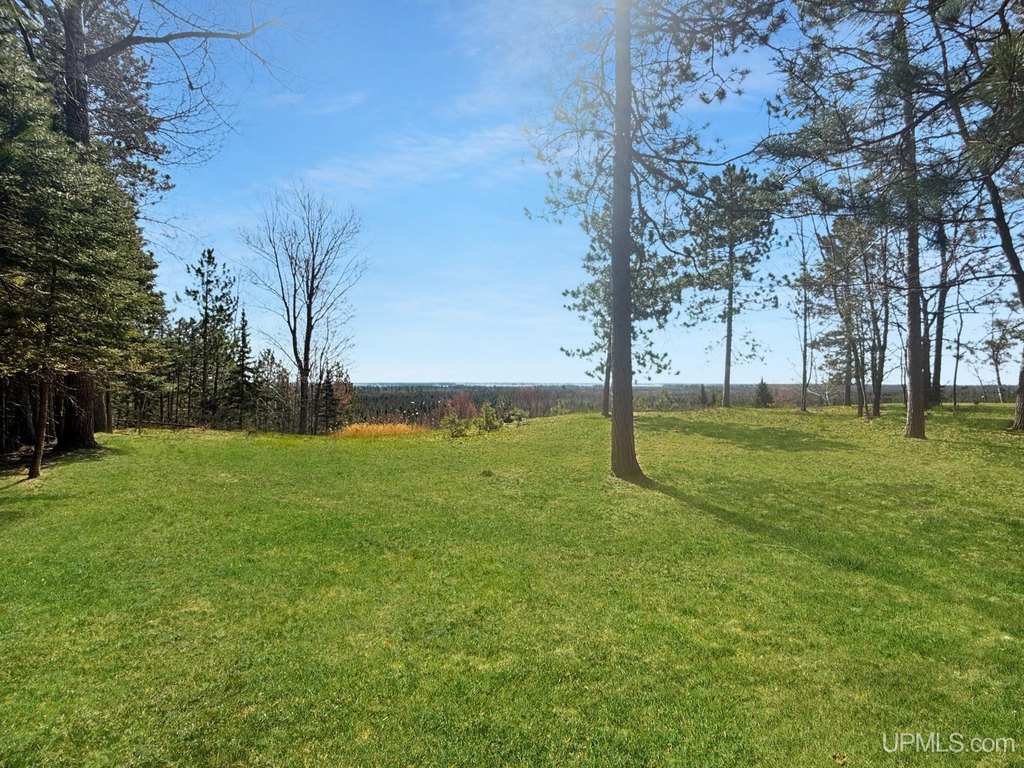 Picture 4
