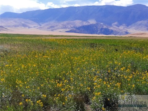 Belfry, MT 22-Acre Oasis