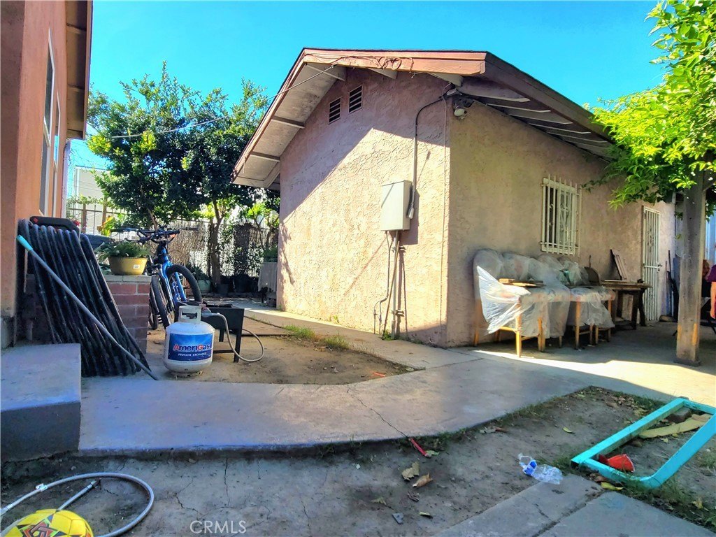 Picture 5