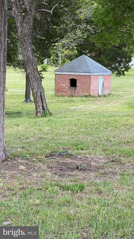 Picture 28