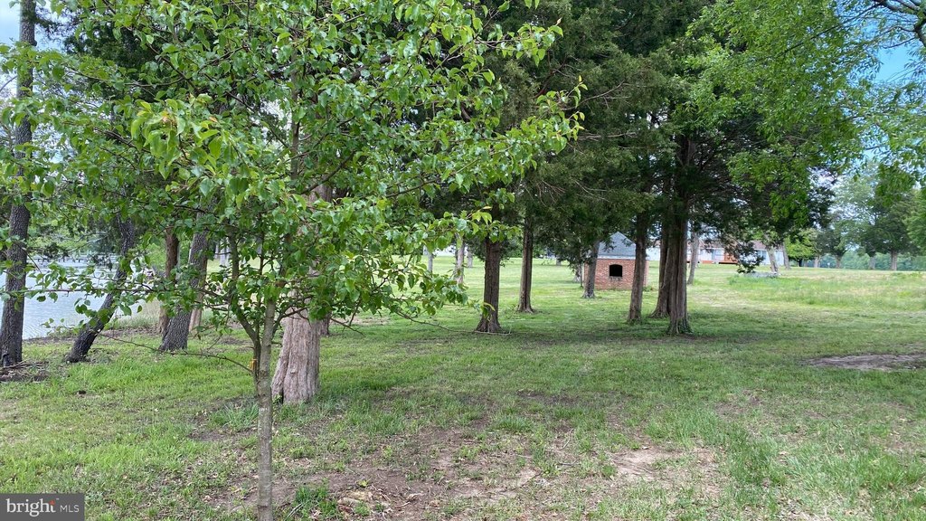 Picture 22