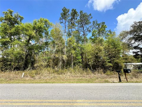 Vacant Land in Bronson, Florida