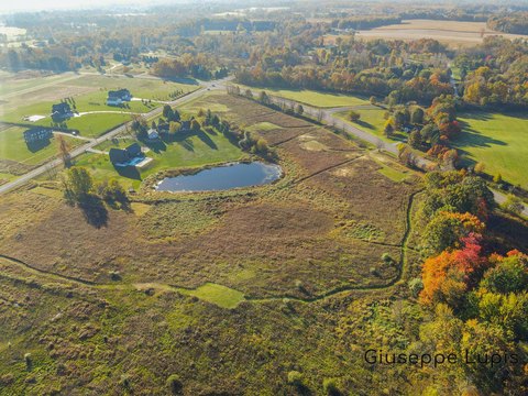 Land, Ada, MI