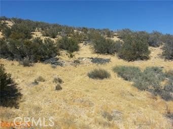 Hesperia Land with Panoramic Views