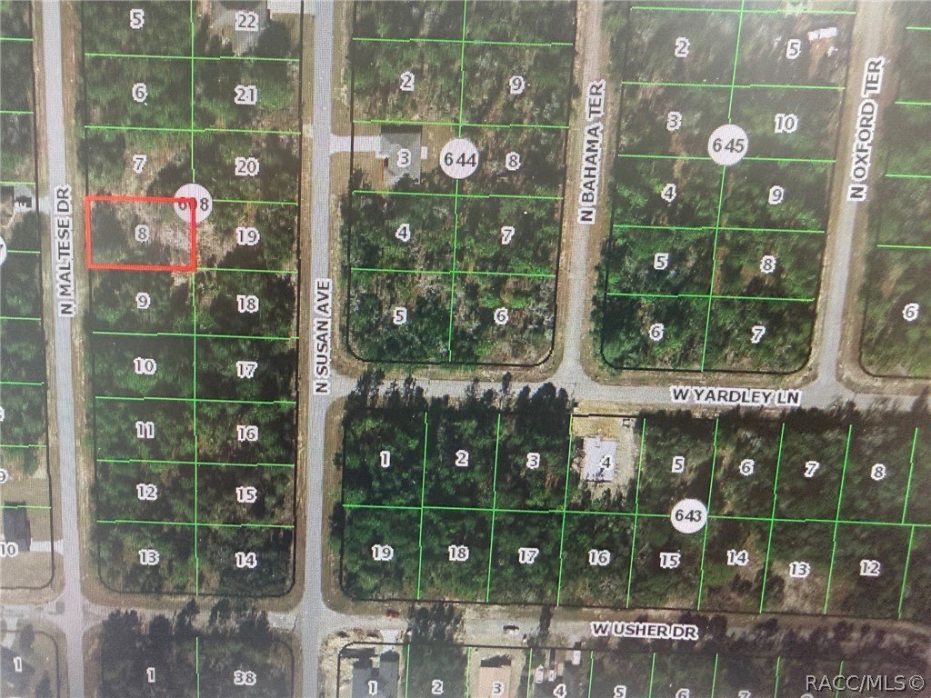 Citrus Springs Homesite Ready to Build