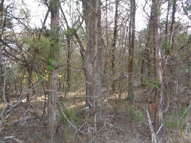 Picture 4
