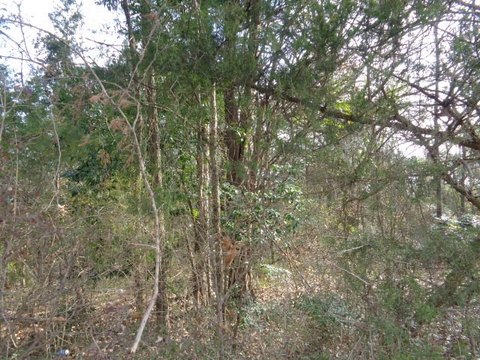 Waterfront Recreational Land Opportunity