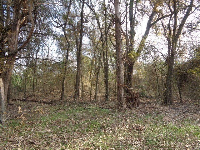 Picture 3