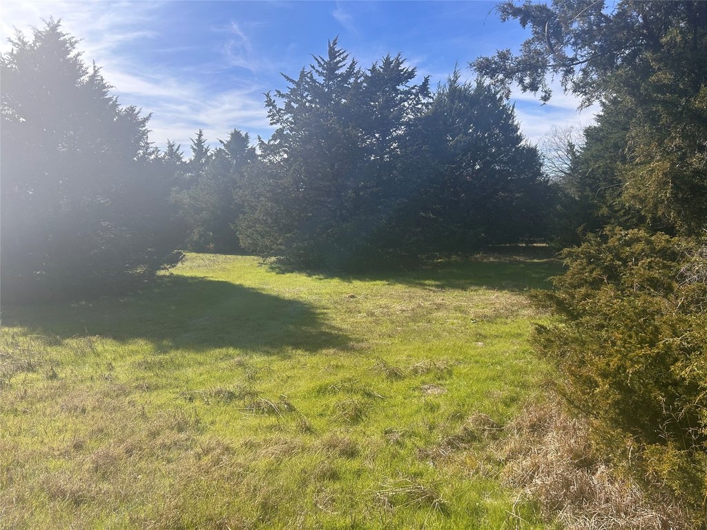 Picture 18
