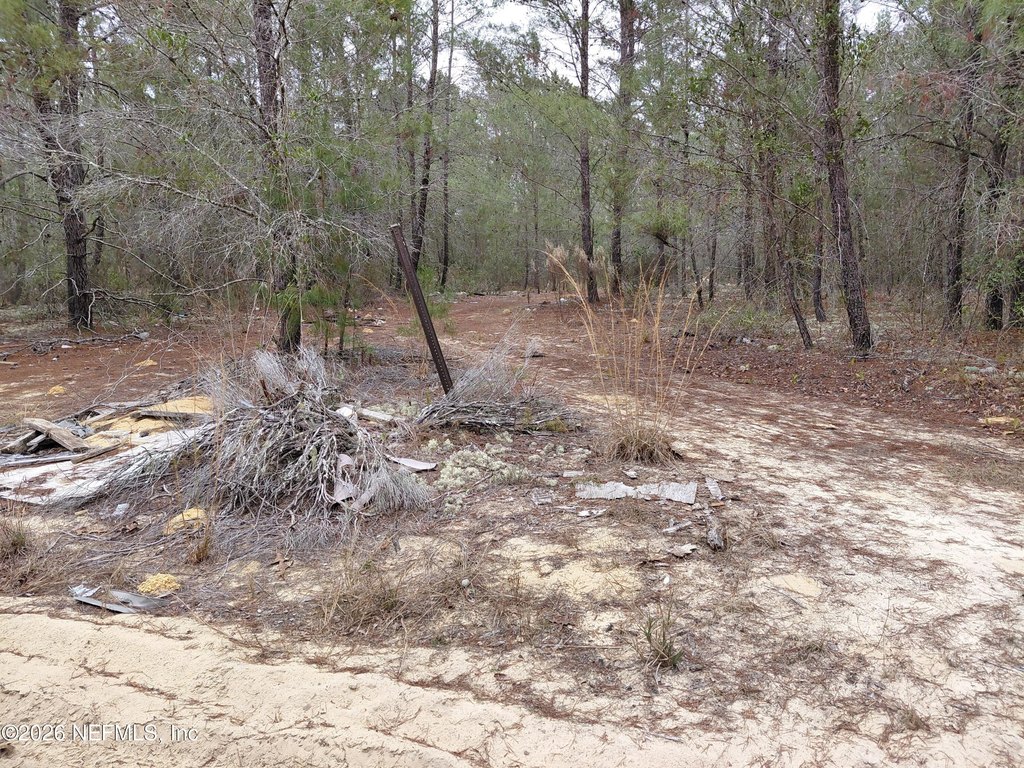 Picture 2
