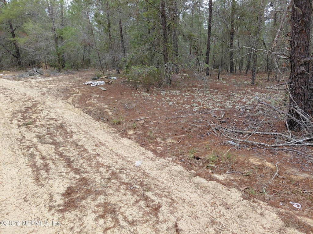 Picture 5
