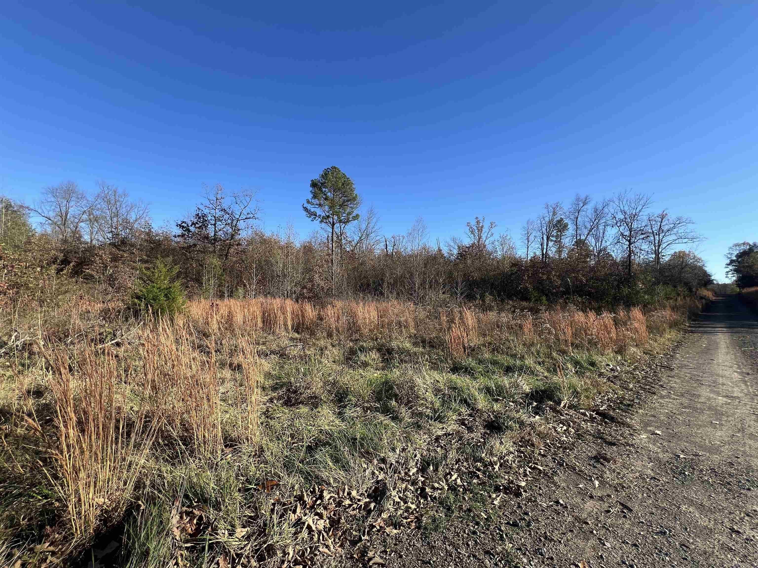 33.51 Acres in Center Ridge