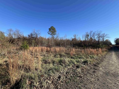 33.51 Acres in Center Ridge