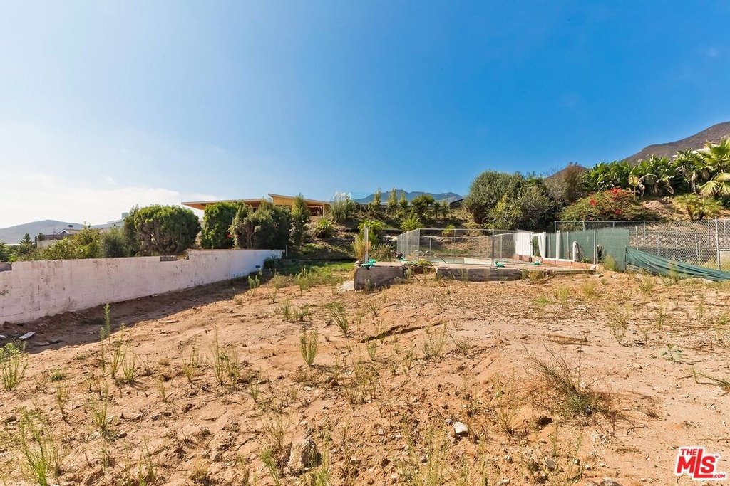 Picture 12