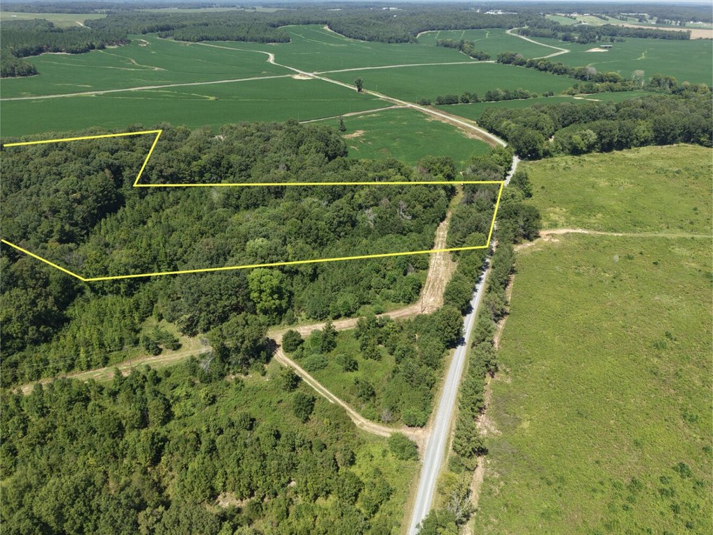 Picture 11