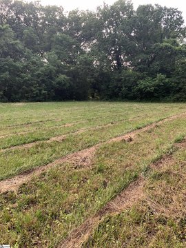 Land Near Historic Downtown