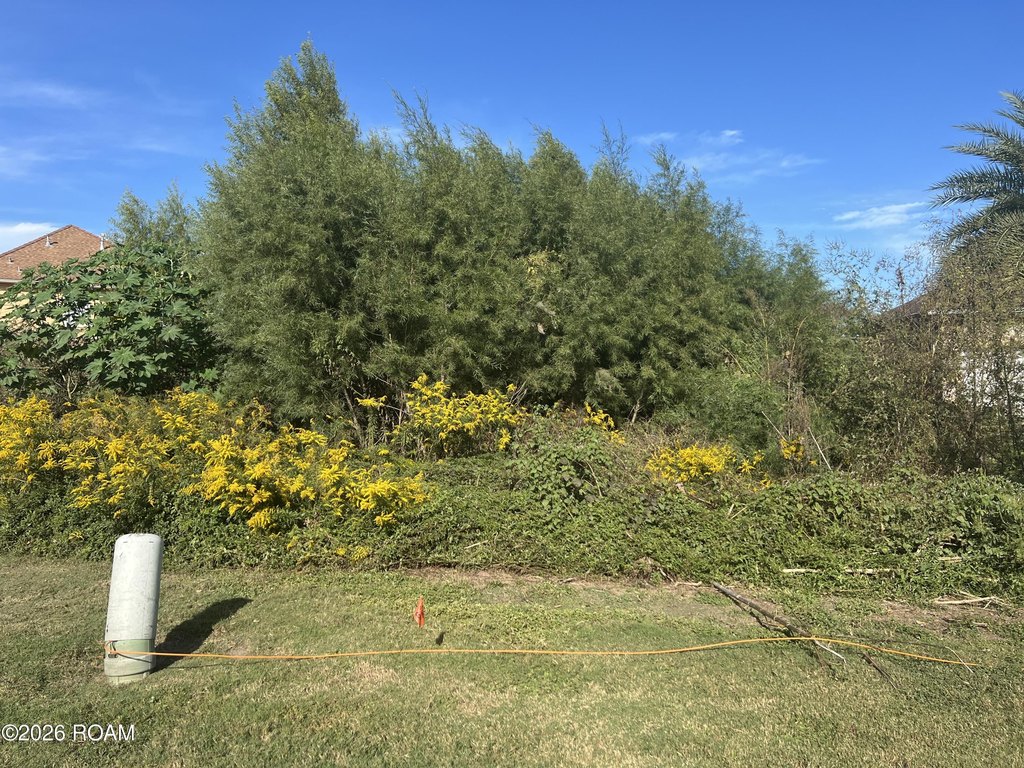 Picture 6
