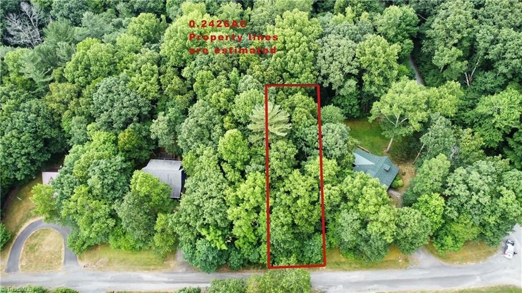 Wooded Lot Near Blue Ridge
