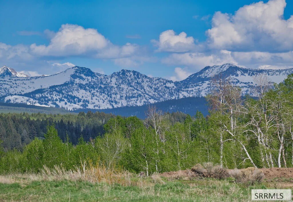 Picture 25