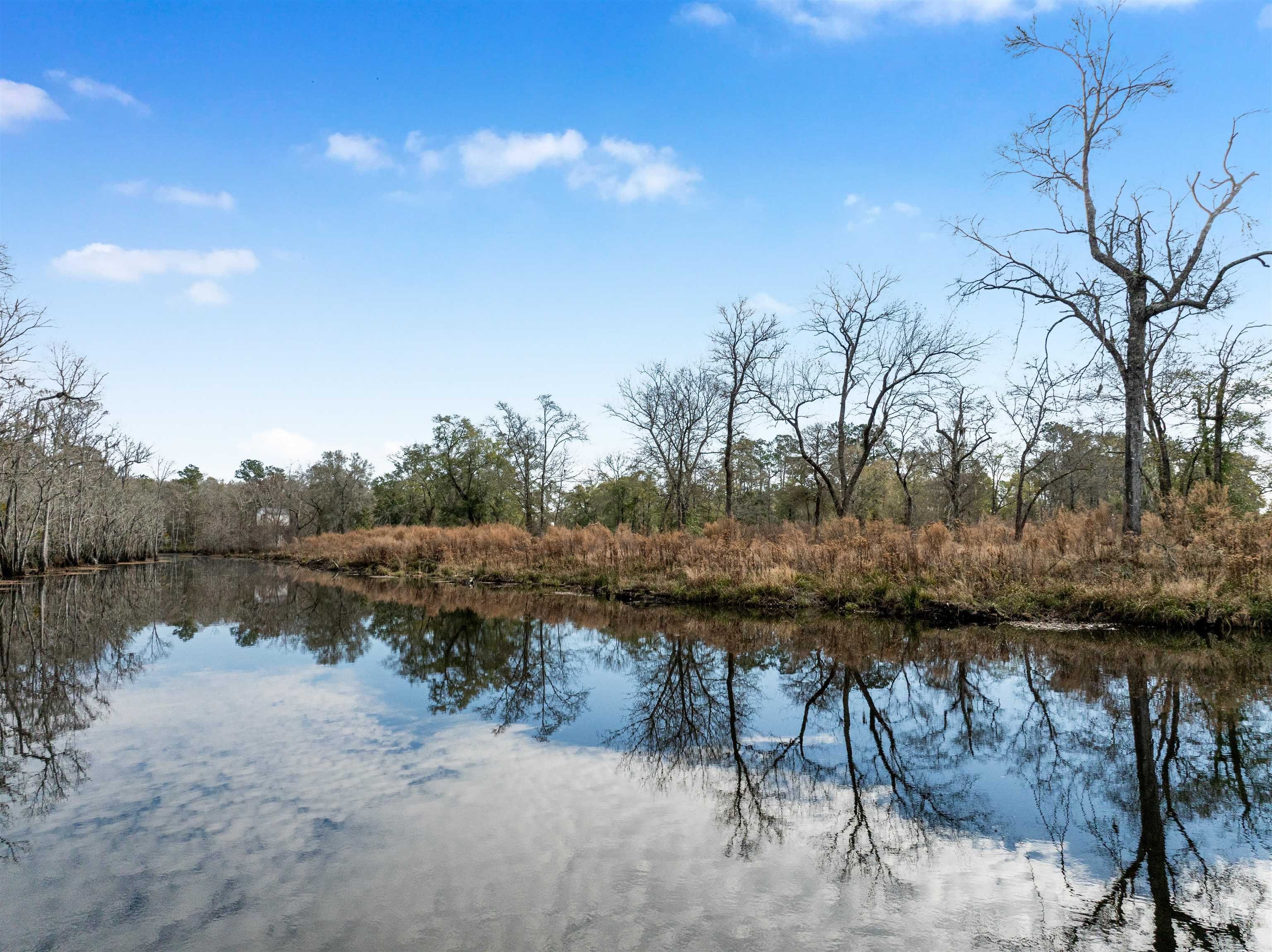 Waterfront Land on Black River