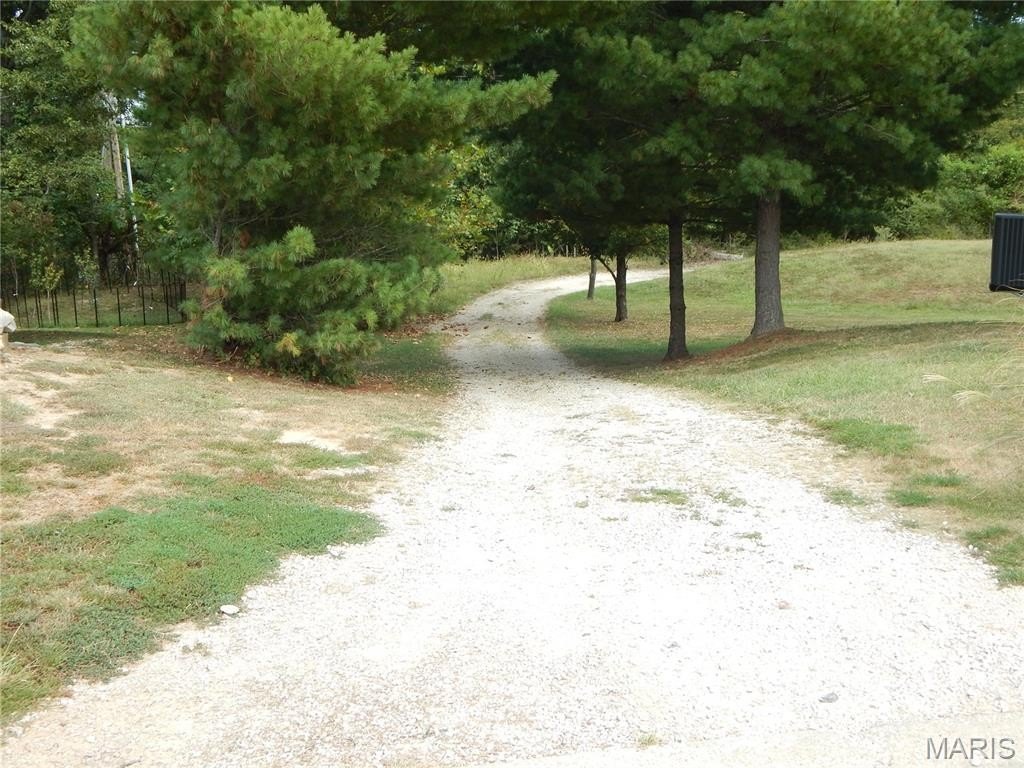 Picture 4