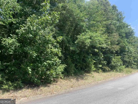 Residential Land in Warner Robins