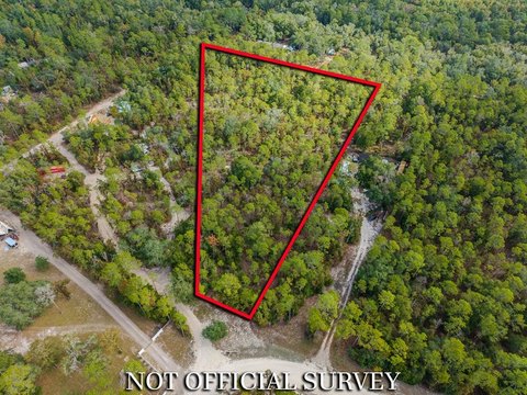 Wooded Lot Near Suwannee River